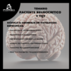 Paciente neurocritico y TQT - Imagen 4