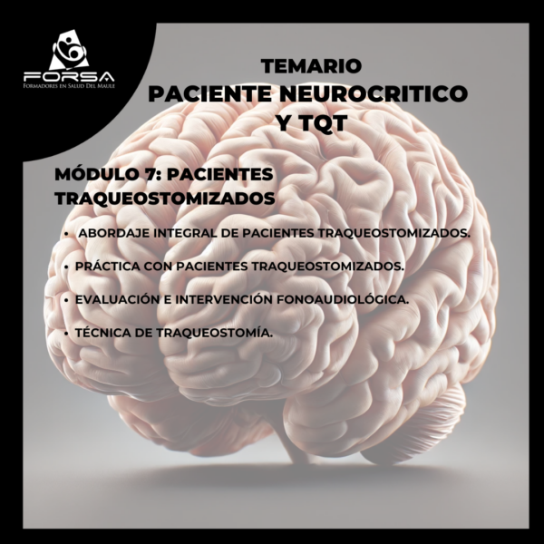 PACIENTE NEUROCRITICO Y TQT - Imagen 6