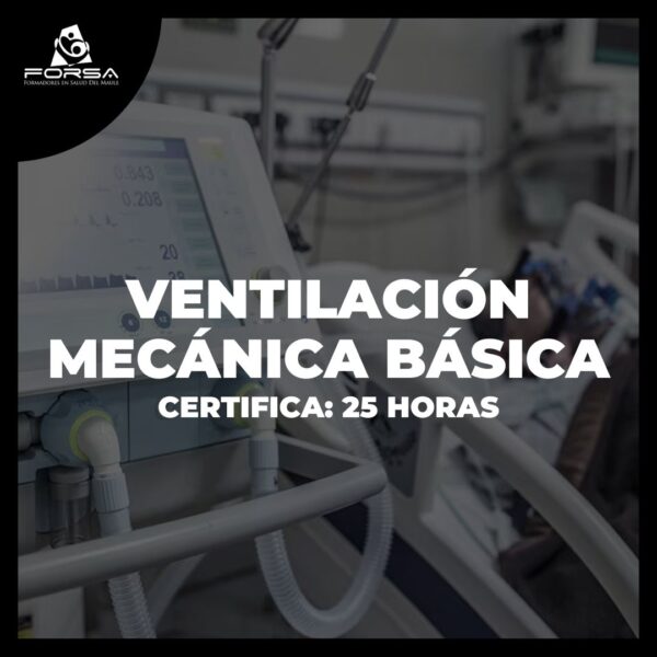 Pack VM Básica + ECG Práctica Aplicada - Imagen 8