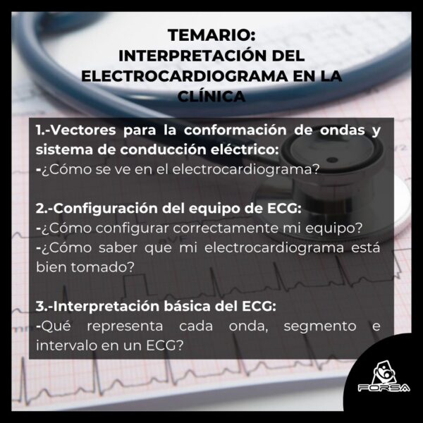 Taller Práctico:  Interpretación del Electrocardiograma en la Clínica - Imagen 2
