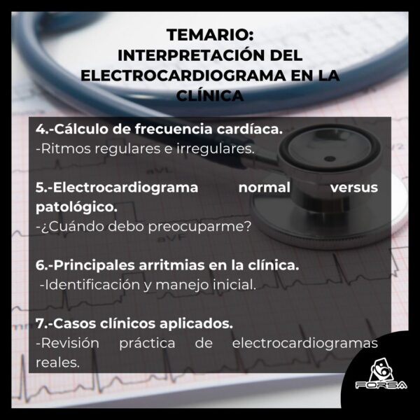 Taller Práctico:  Interpretación del Electrocardiograma en la Clínica - Imagen 3